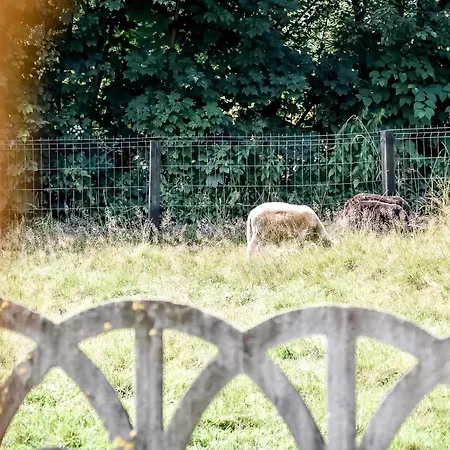 Pod Brzyzkiem Horská chata Białka Tatrzańska